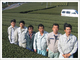 （農）茶夢茶夢ランド菅山園