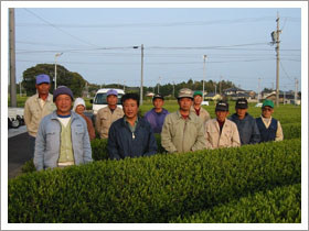 有限会社 マルタケ製茶